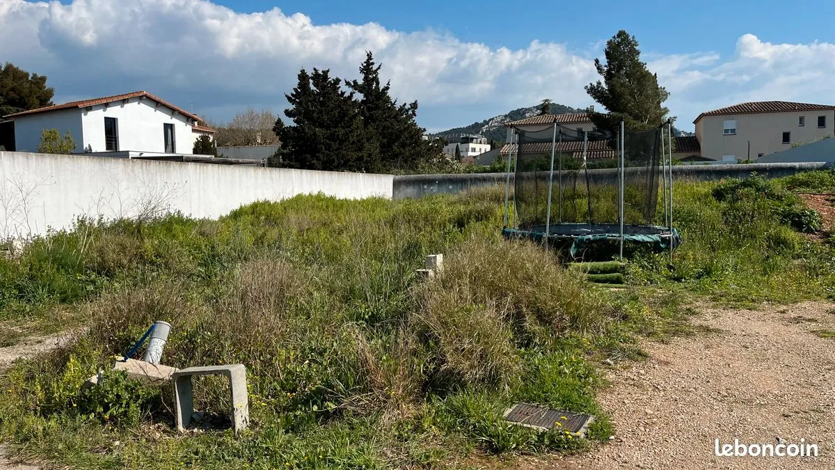 Terrain