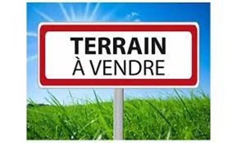 Terrain