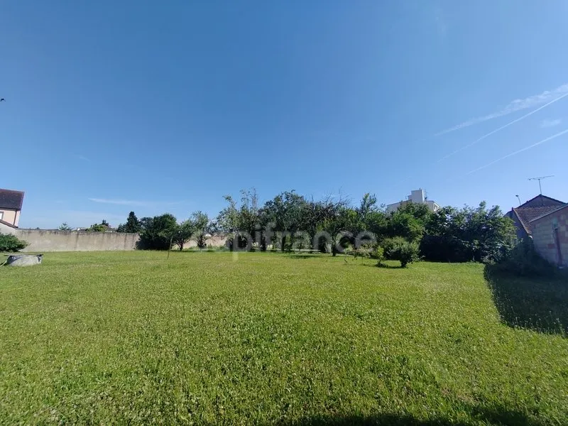 Terrain