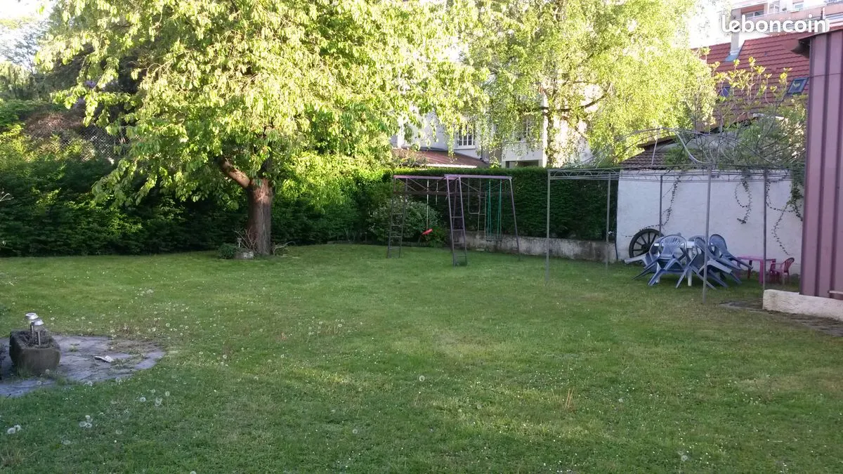 Terrain
