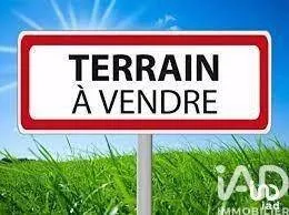 Terrain