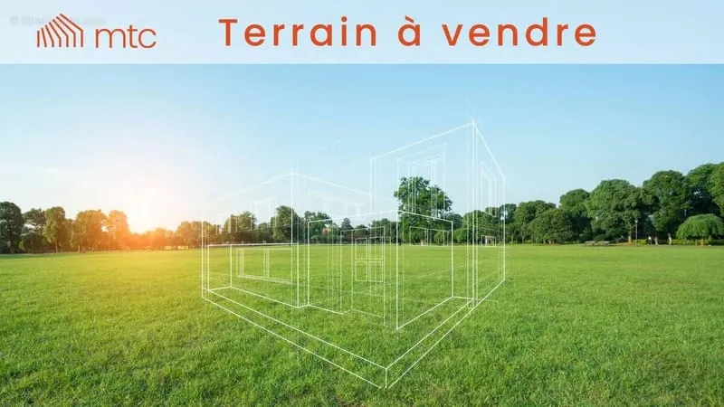Terrain