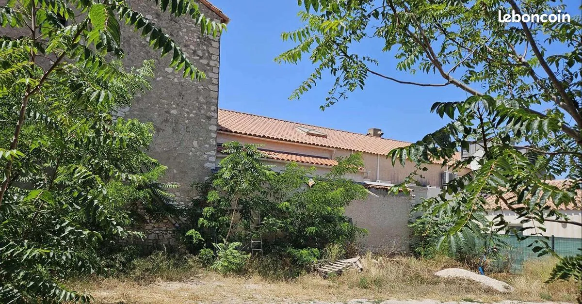 Terrain