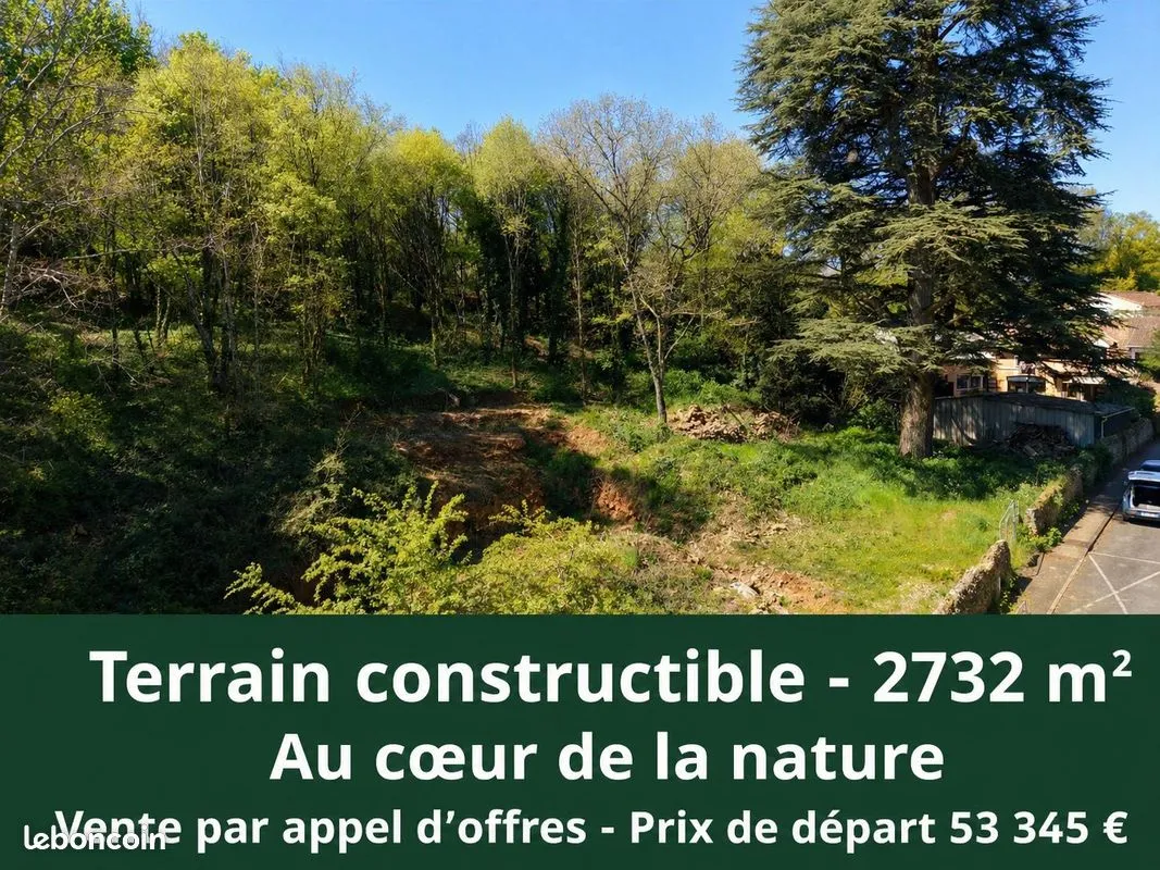 Terrain