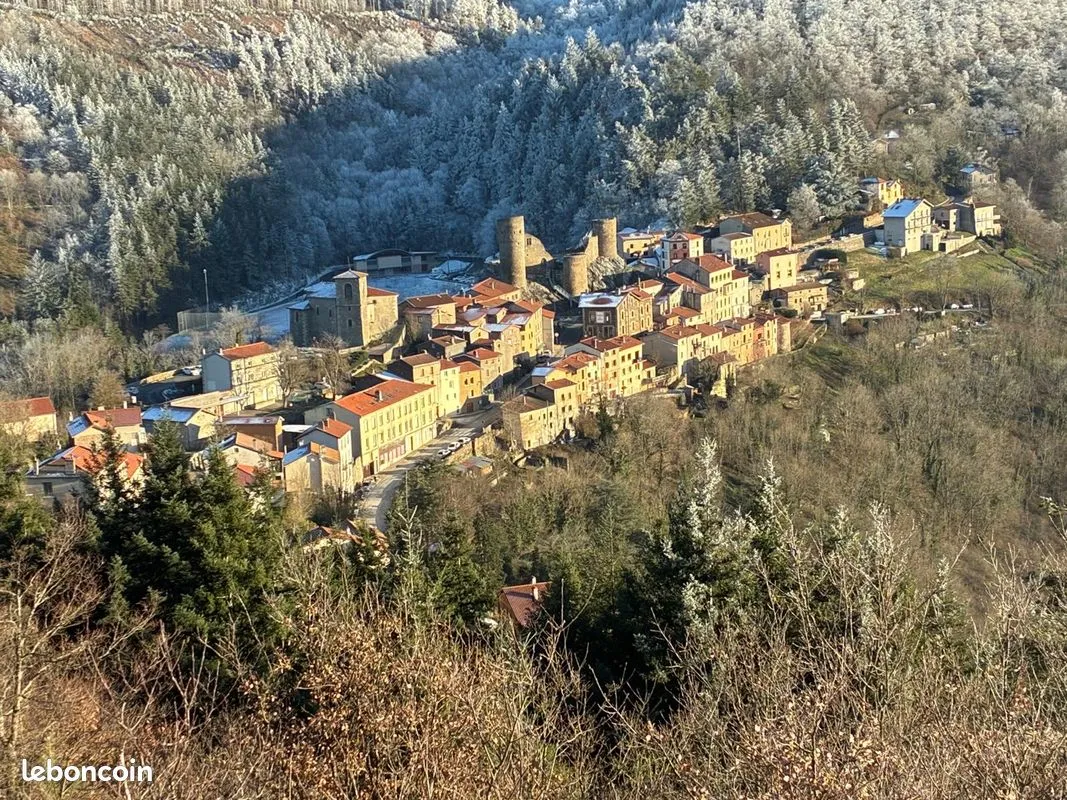 Terrain