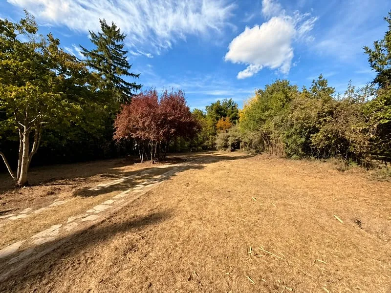 Terrain