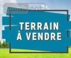Terrain