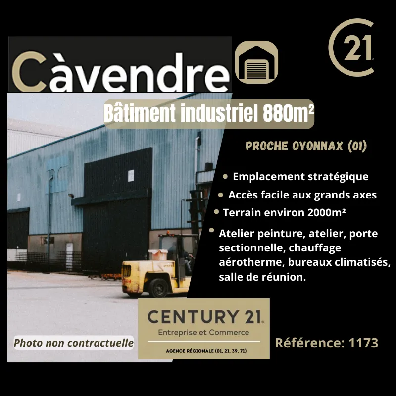 Local d'activité