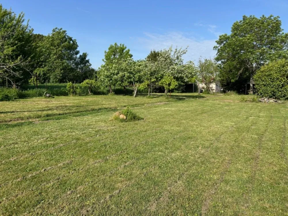 Terrain