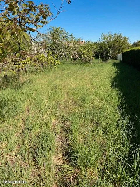 Terrain