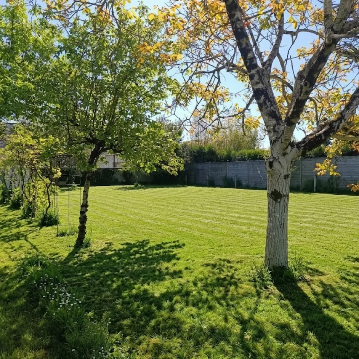 Terrain