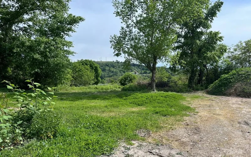 Terrain