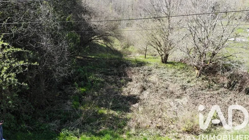Terrain