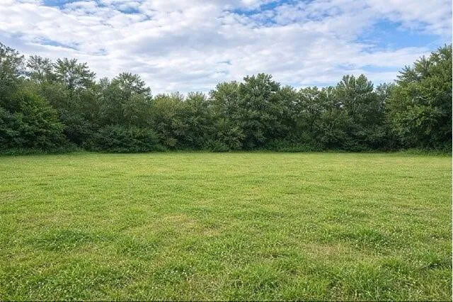 Terrain