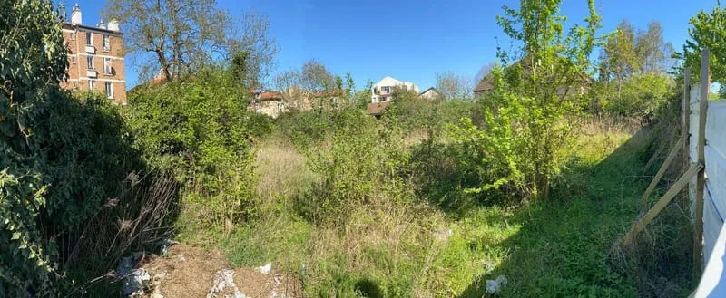Terrain