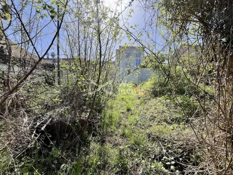 Terrain