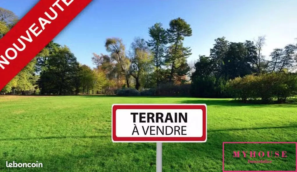Terrain