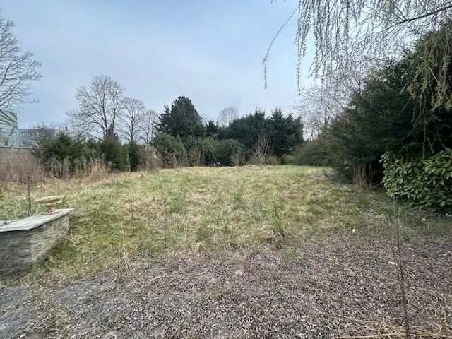Terrain