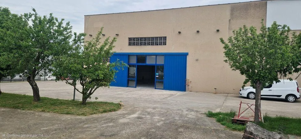 Local d'activité