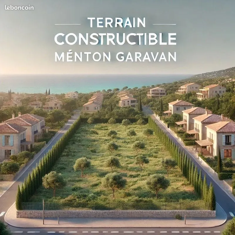 Terrain