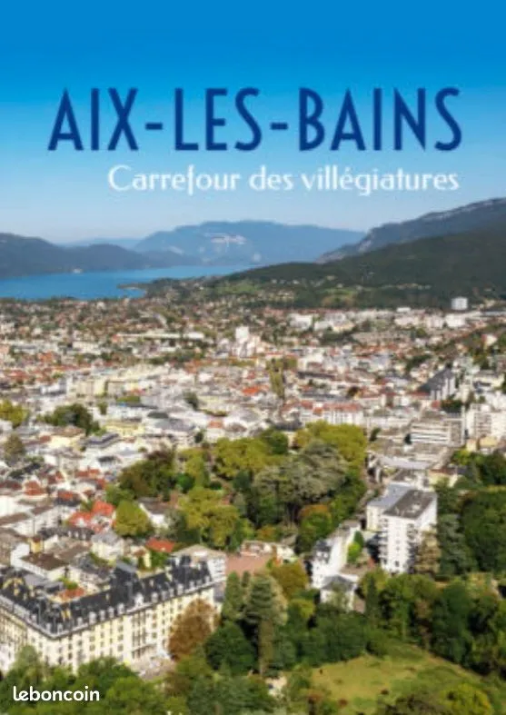 Local d'activité