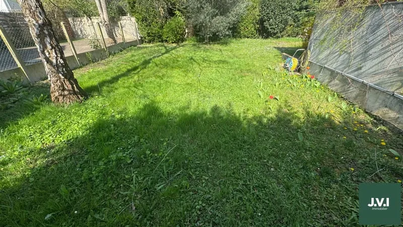 Terrain