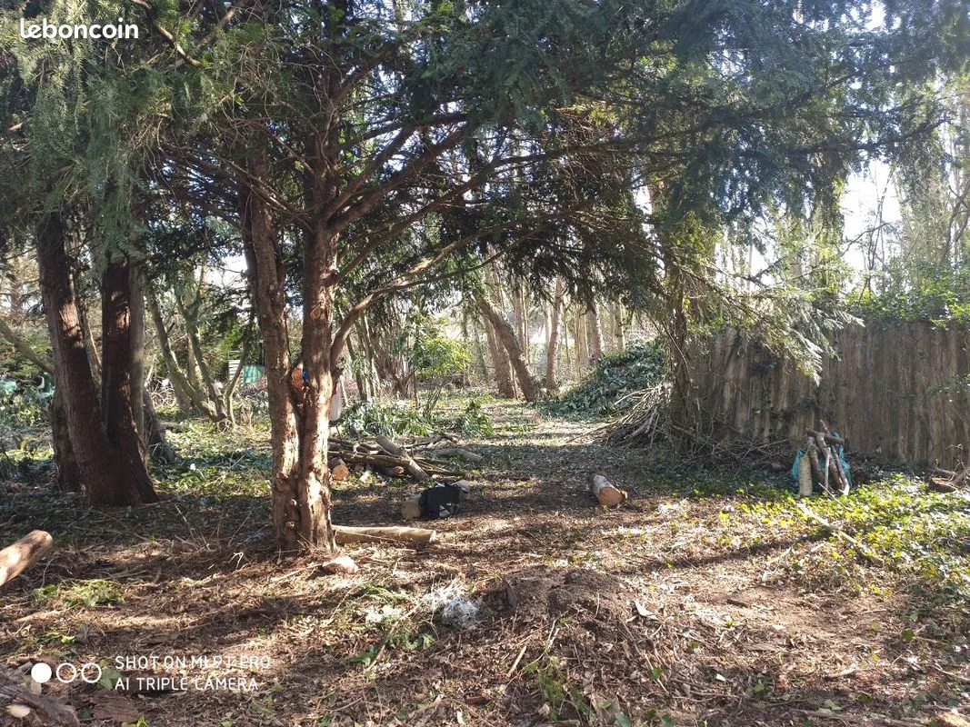 Terrain
