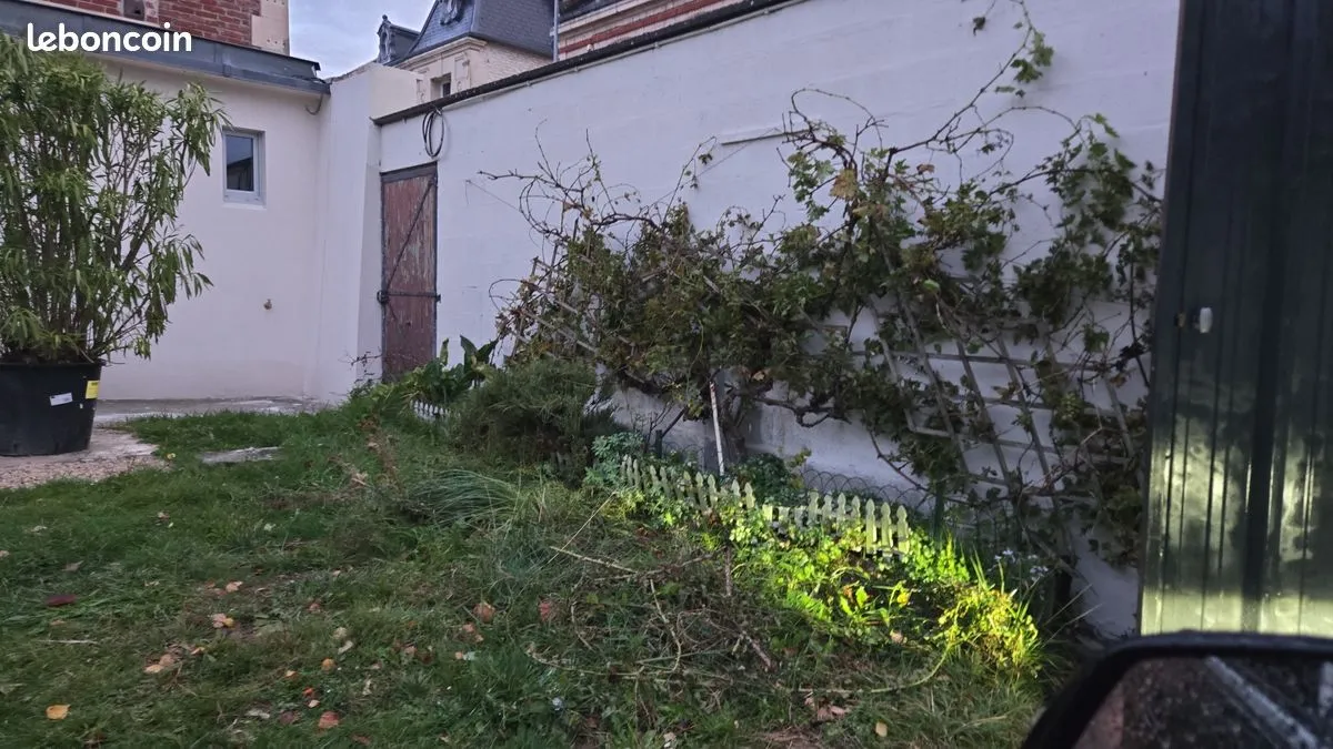 Terrain