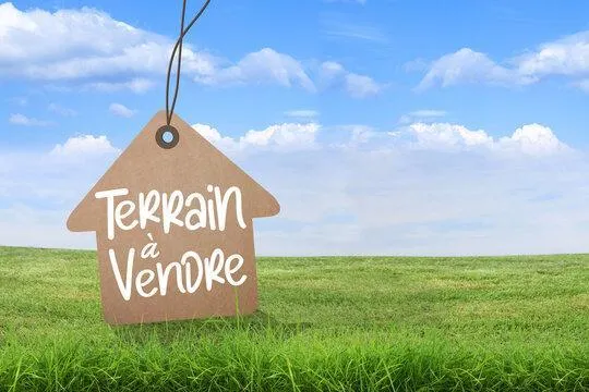 Terrain
