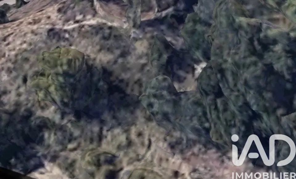 Terrain