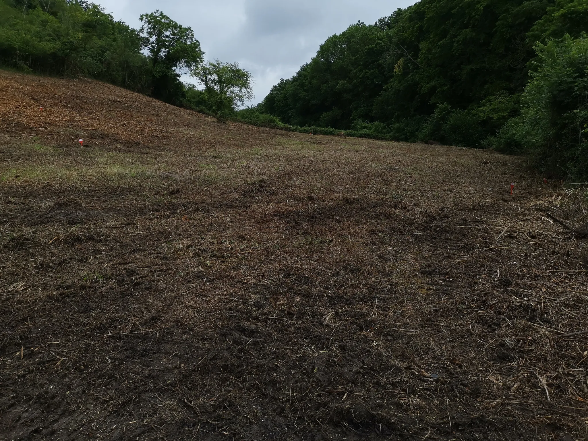 Terrain