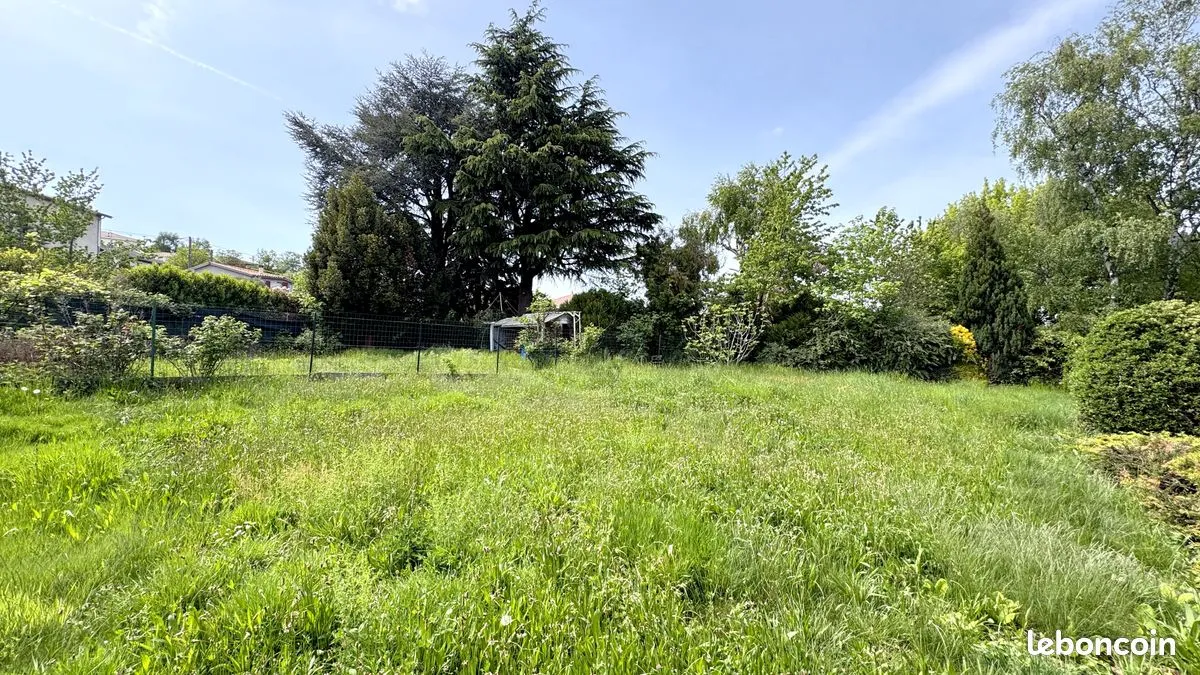 Terrain
