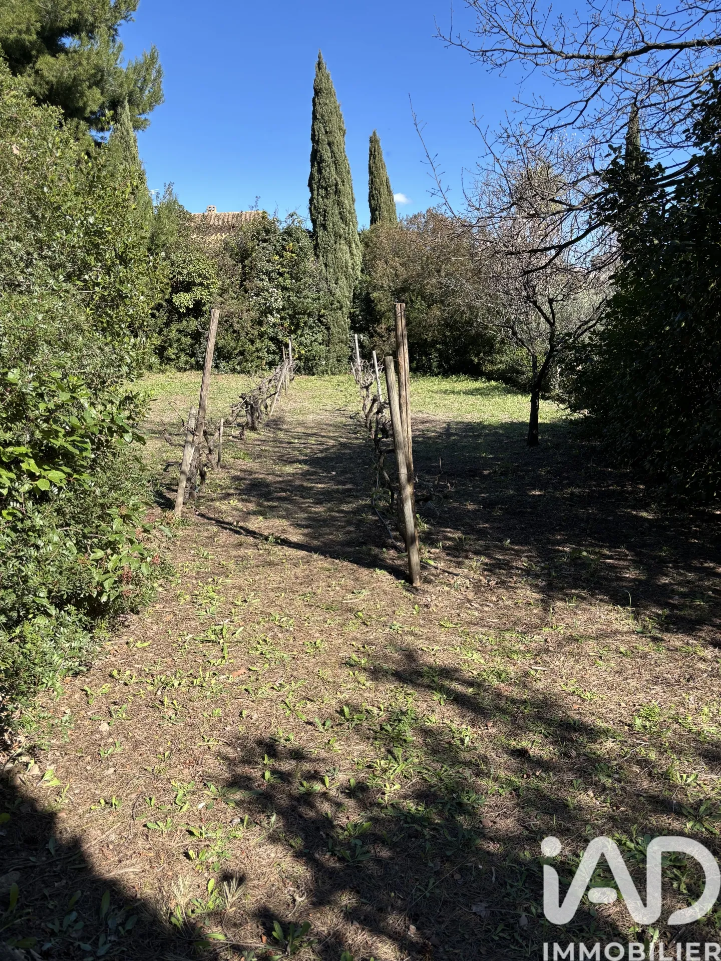 Terrain
