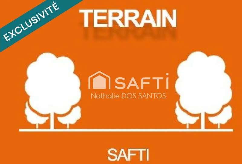 Terrain