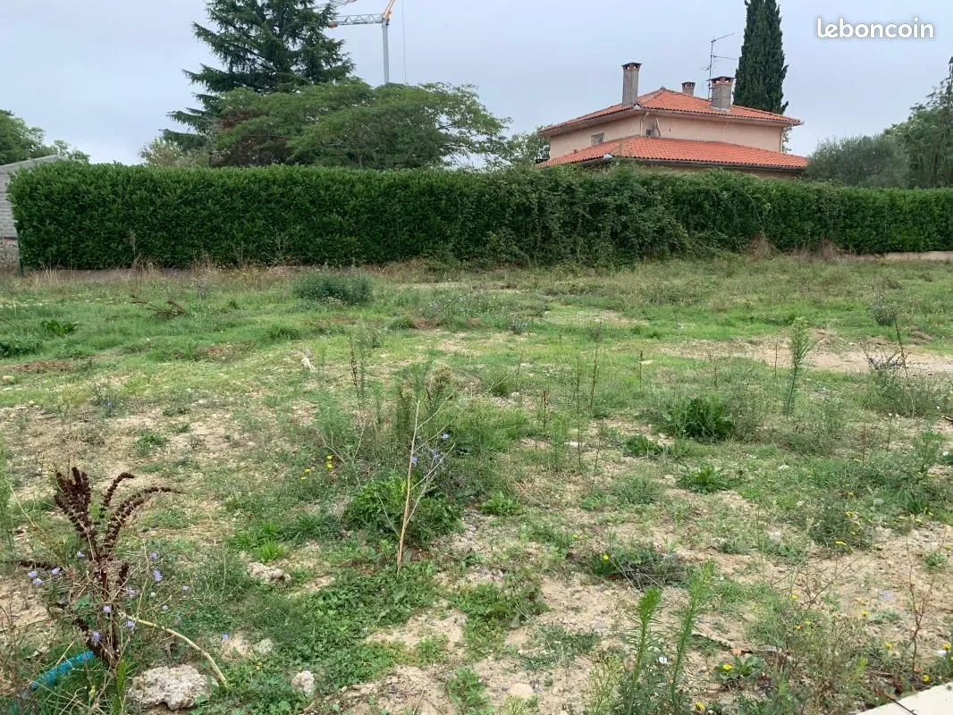 Terrain