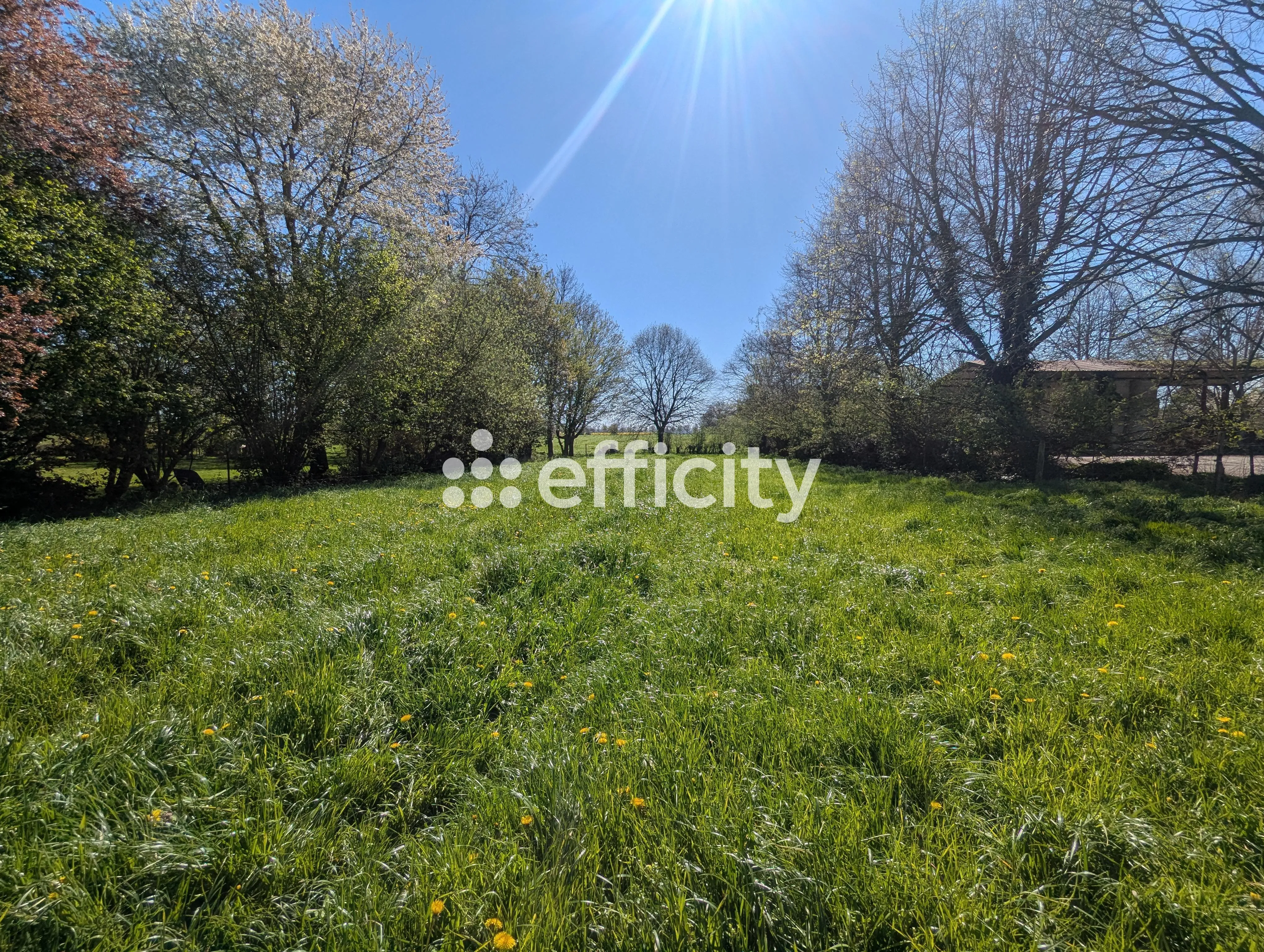Terrain