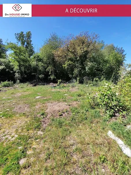 Terrain
