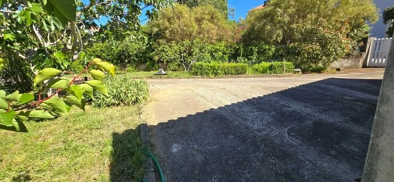 Terrain