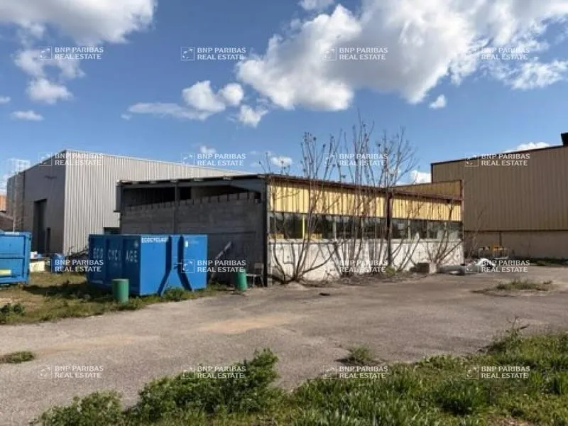 Local d'activité