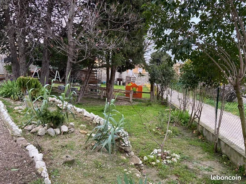 Terrain