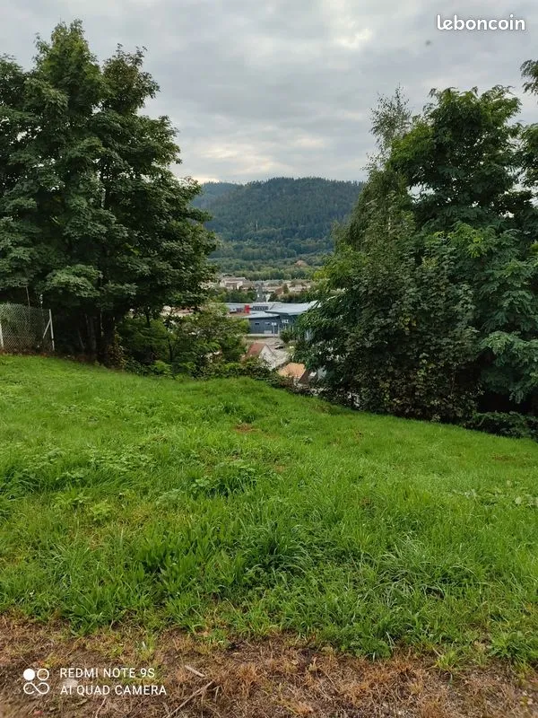 Terrain