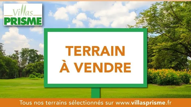 Terrain