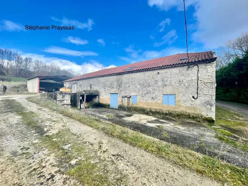 Local d'activité