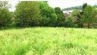 Terrain