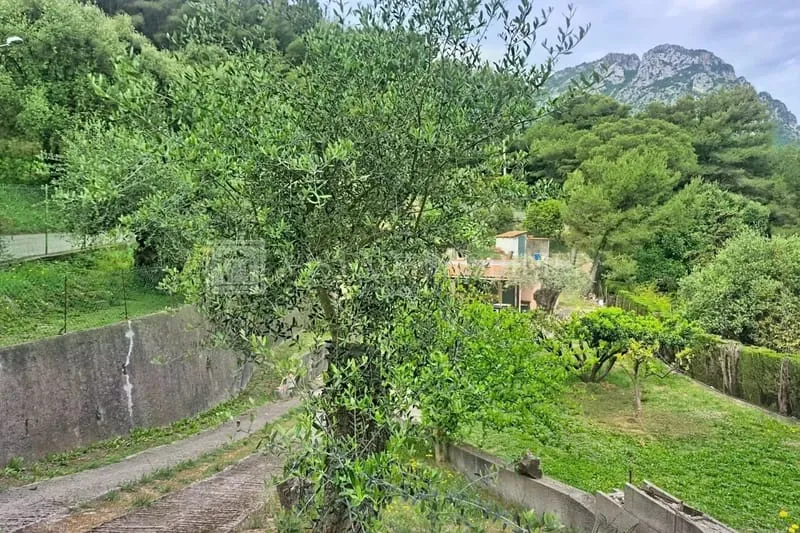 Terrain