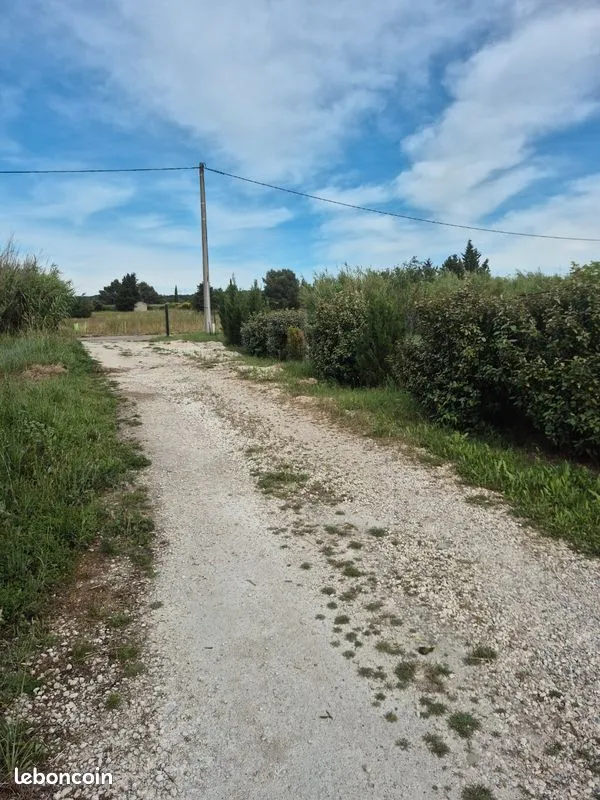 Terrain