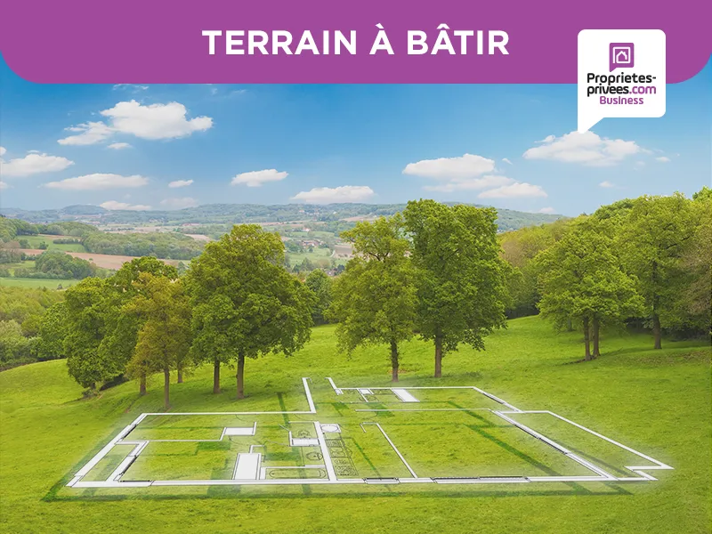 Terrain