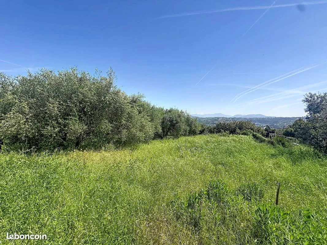 Terrain
