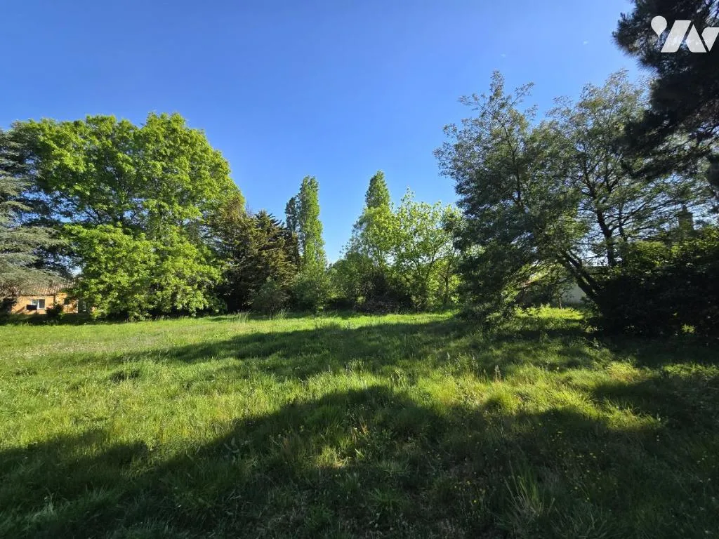Terrain