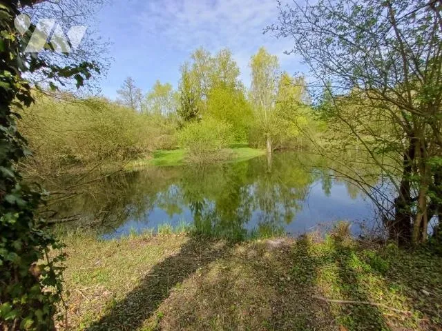 Terrain